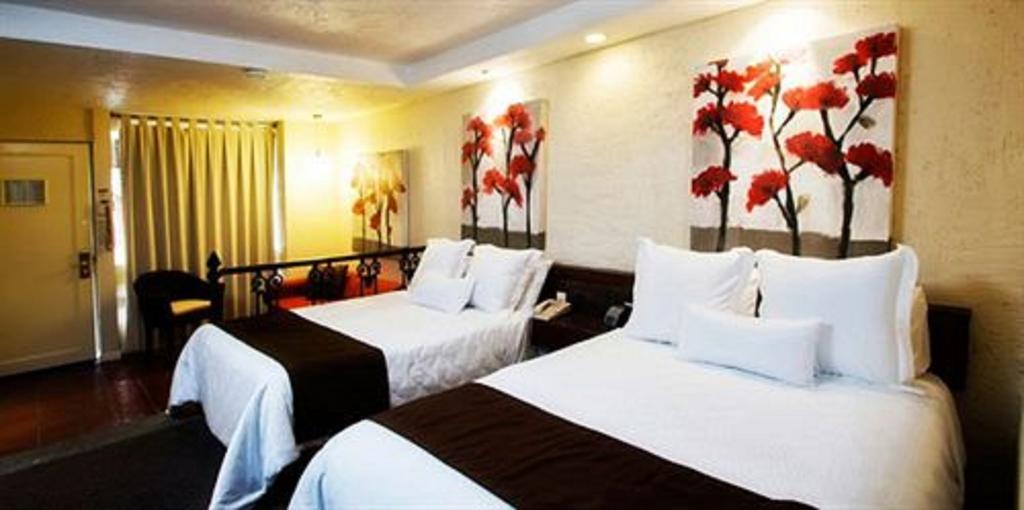 Nehotel Nueva Estancia ليون المظهر الخارجي الصورة
